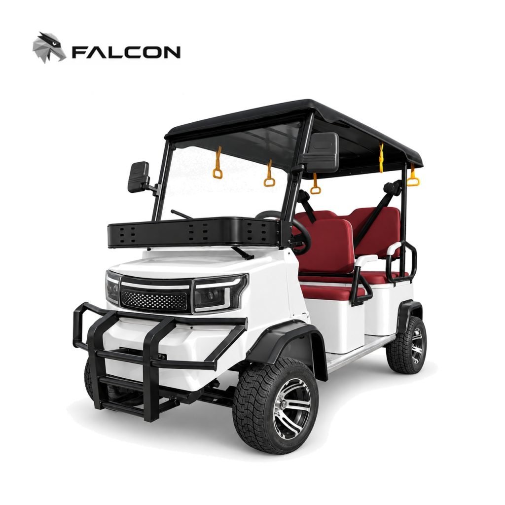 Electric Vehicle GG-DP003
