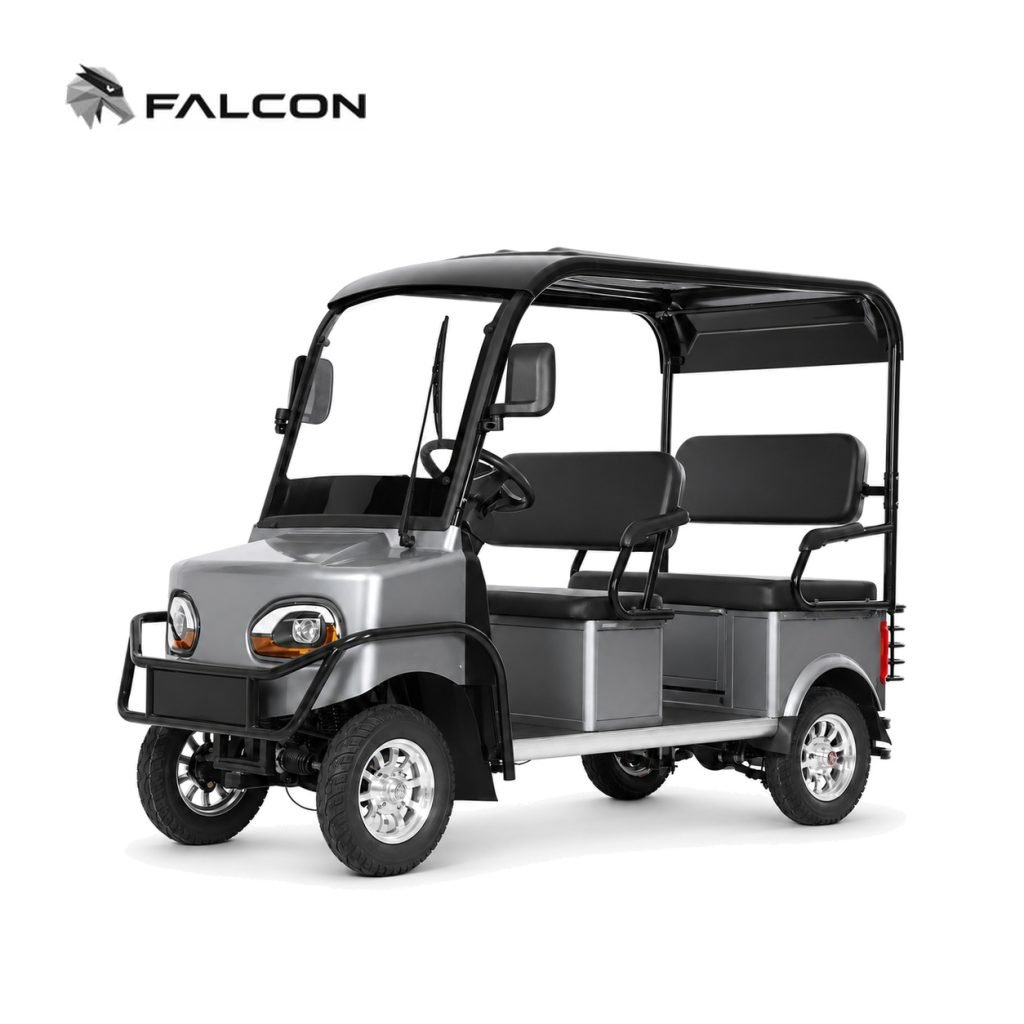 Electric Golf Cart GG-DP006