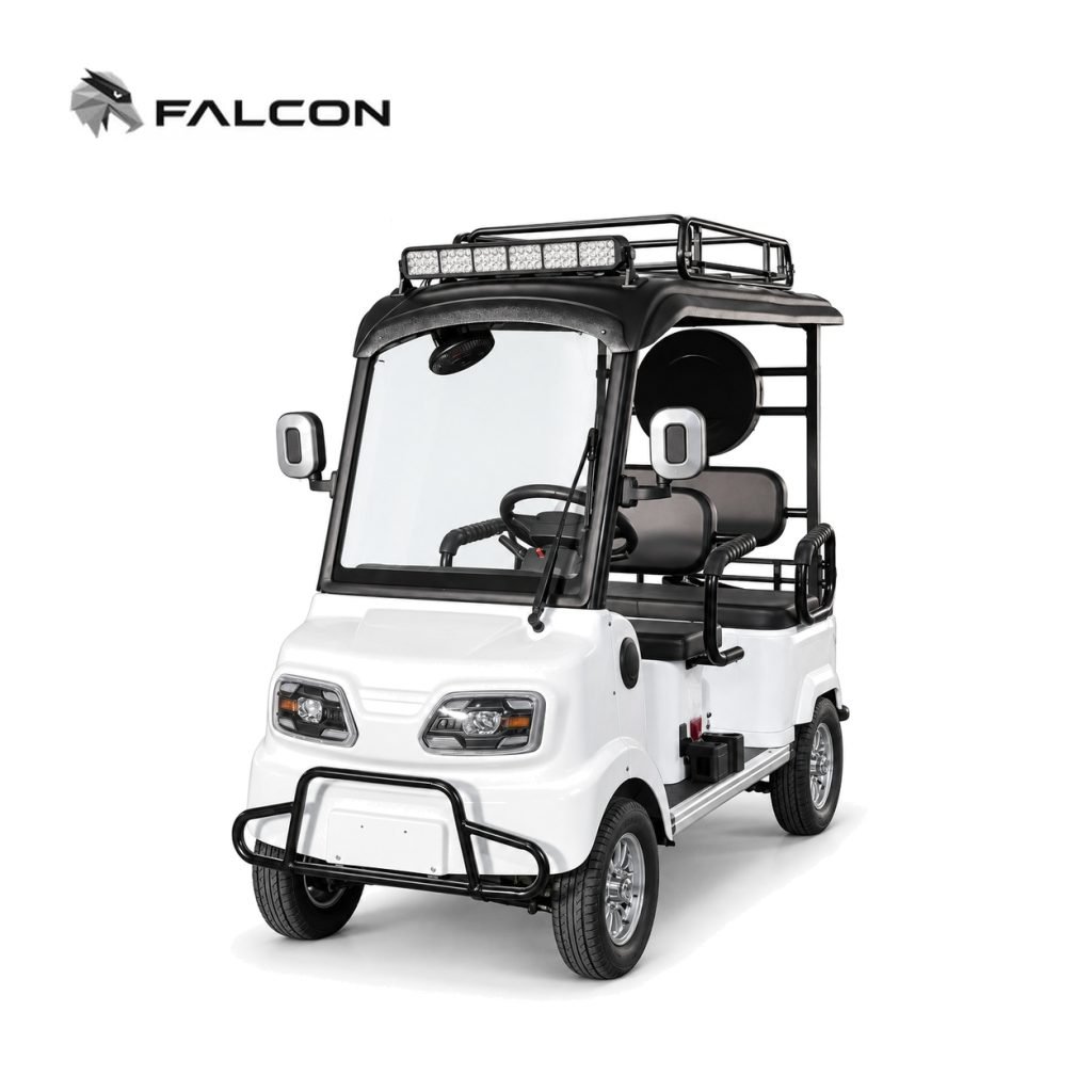 Electric Golf Cart ZK-DP012