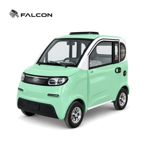 Enclosed Electric Car ZK-DP016 | 1000W, 60V