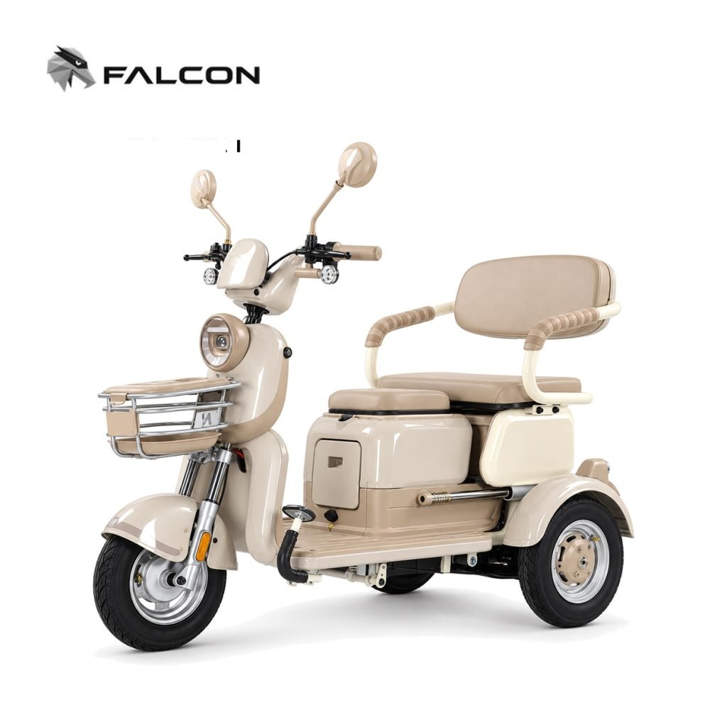 Electric Passenger Tricycle ZK-CP006