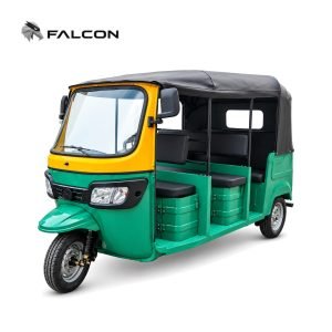 Electric Passenger Tricycle ZK-DP008
