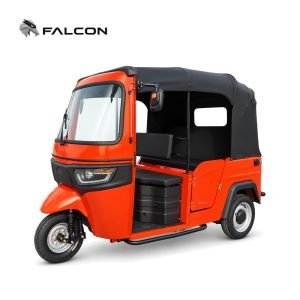 Electric Passenger Tricycle ZK-DP009