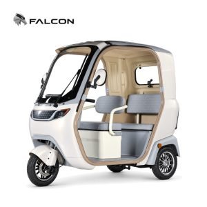 Electric Passenger Tricycle ZK-DP011