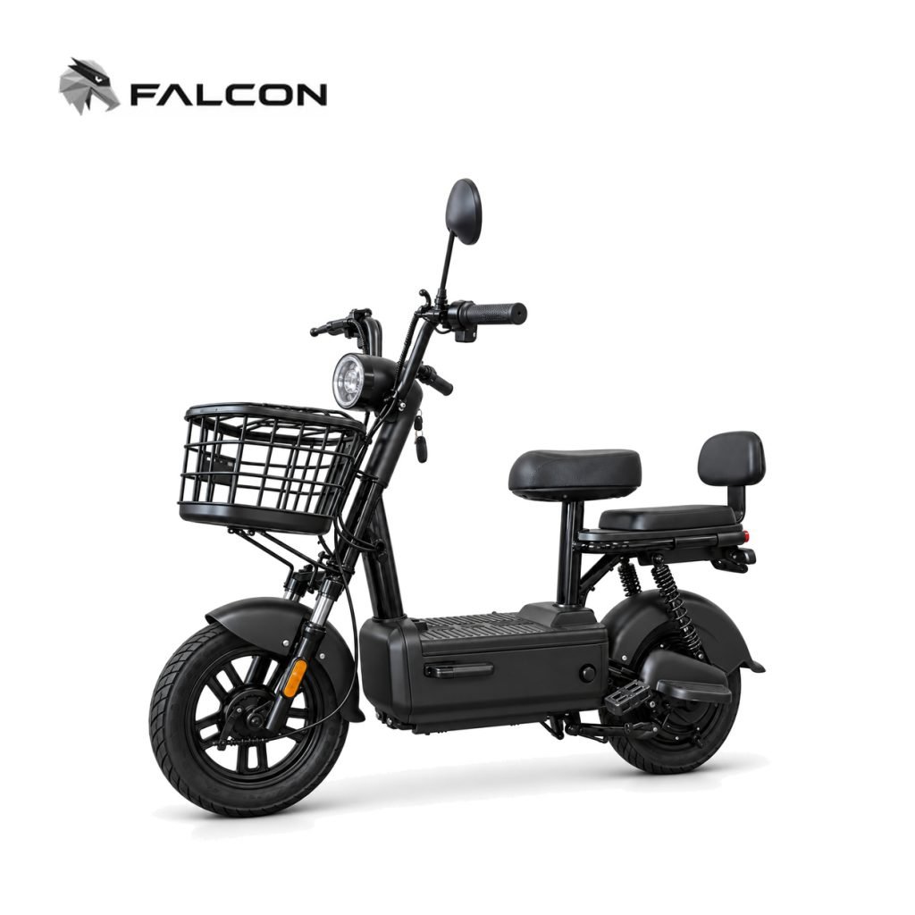 Electric Motorcycle ZR-CP004