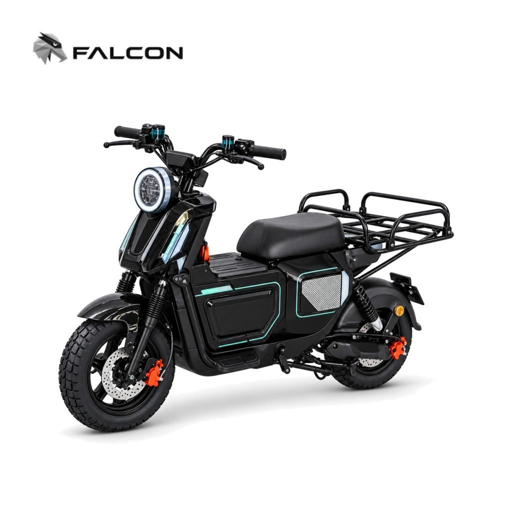 Electric Motorcycle ZR-CP009