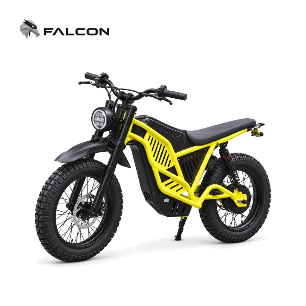 Electric Motorcycle ZR-CP011