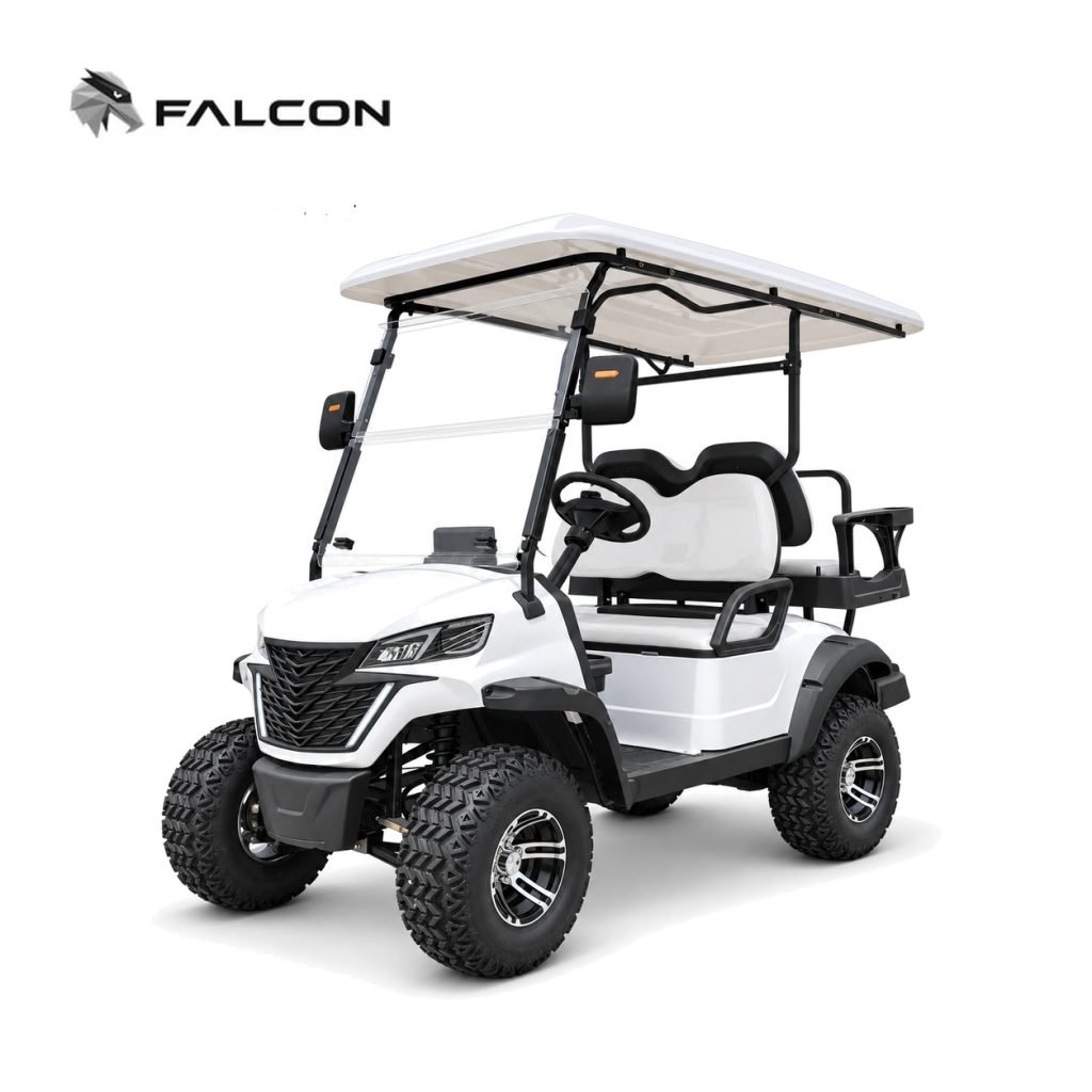Electric Golf Cart GG-DP010