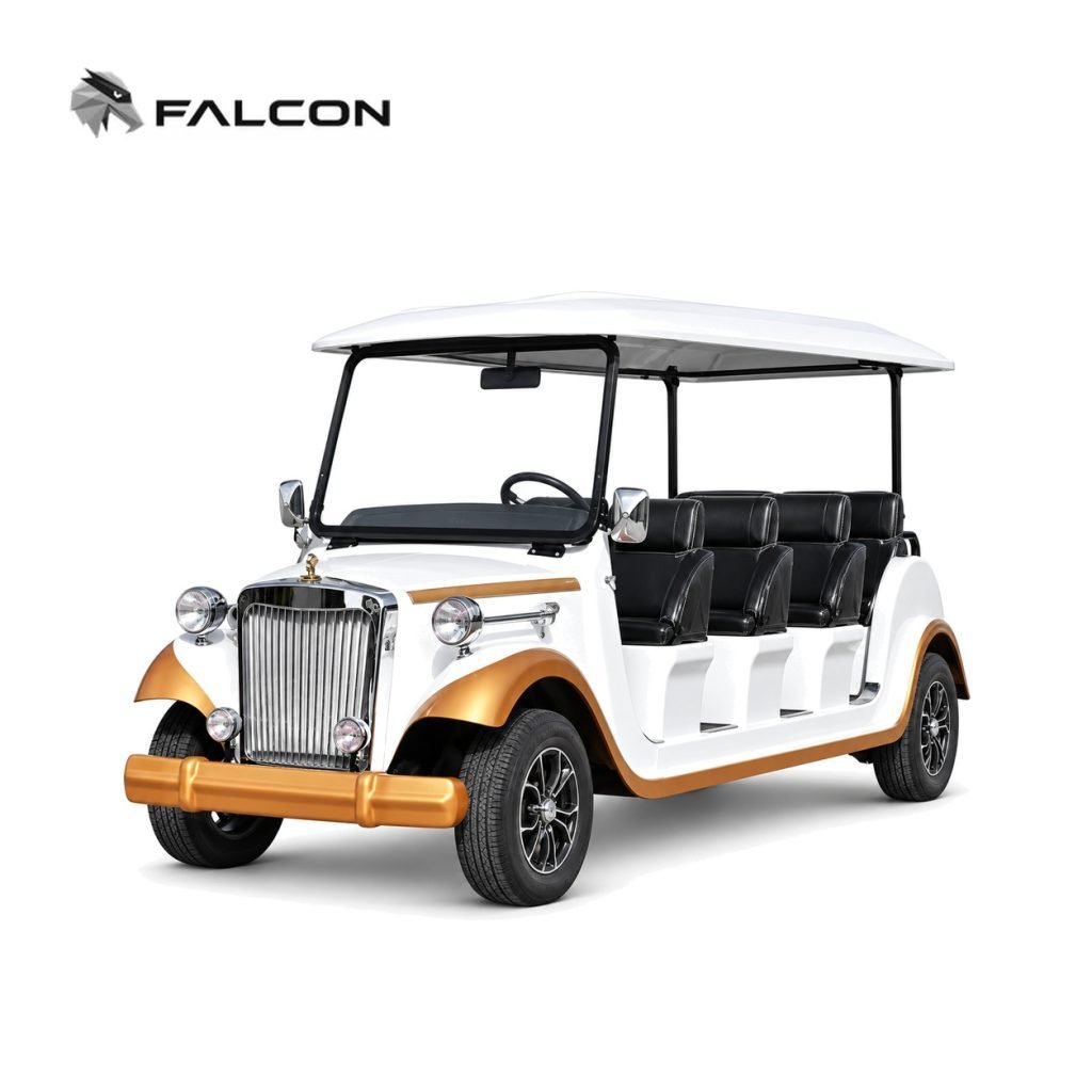 Electric Vehicle GG-DP016