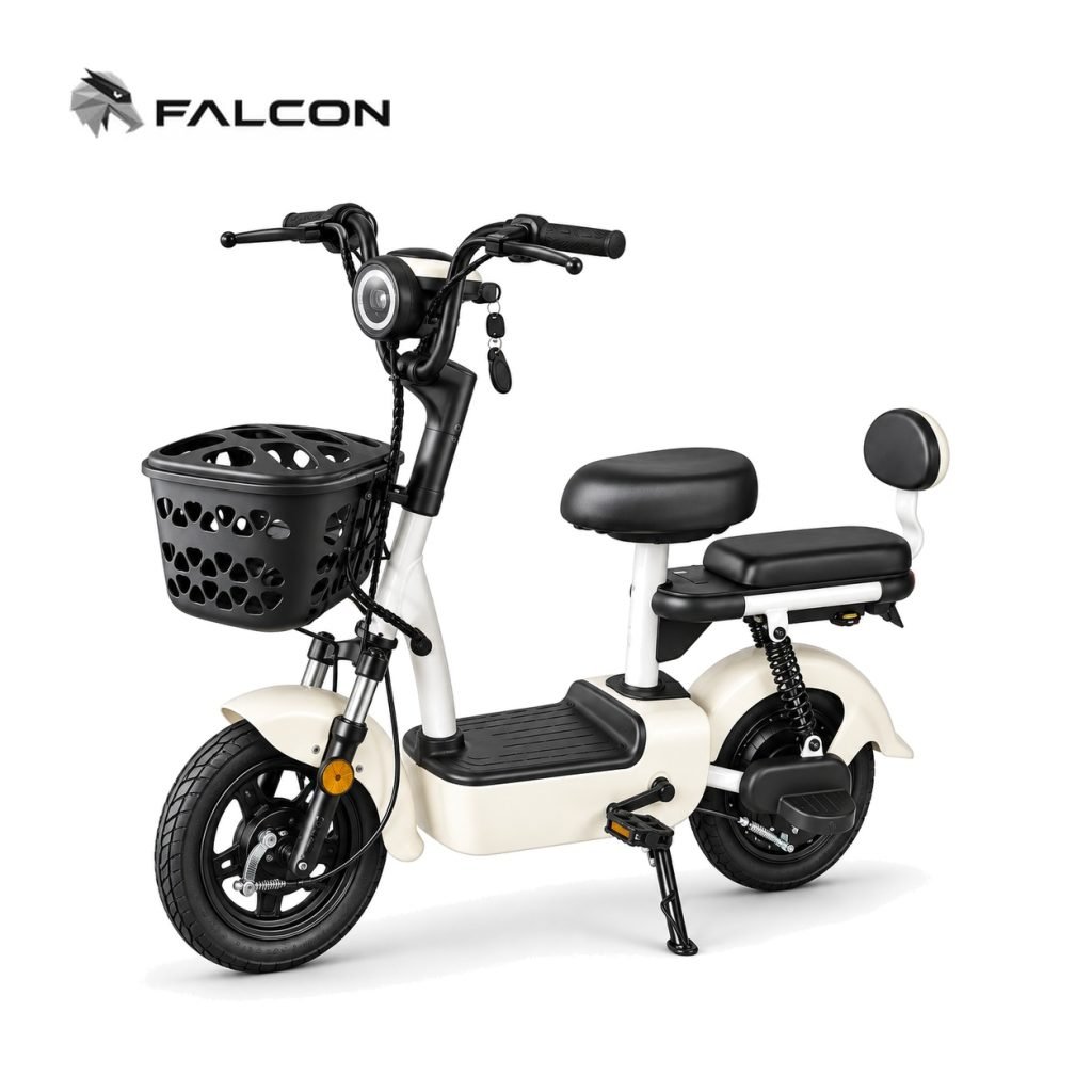 Electric Motorcycle ZR-CP001