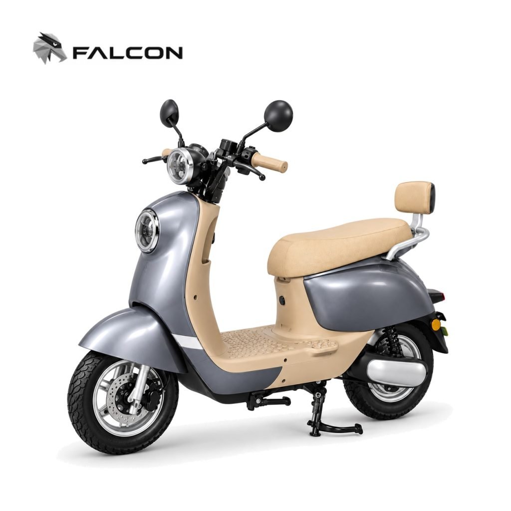 Electric Motorcycle ZR-CP003